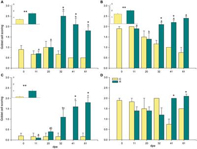 Mucosal affairs: glycosylation and expression changes of gill goblet cells and mucins in a fish–polyopisthocotylidan interaction